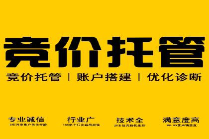 竞价排名中关键词出价策略的案例探讨